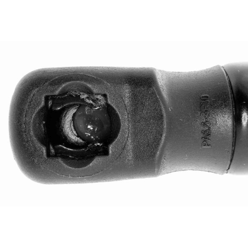 VAICO Gasfeder, Motorhaube Original VAICO Qualit&auml;t V10-0919