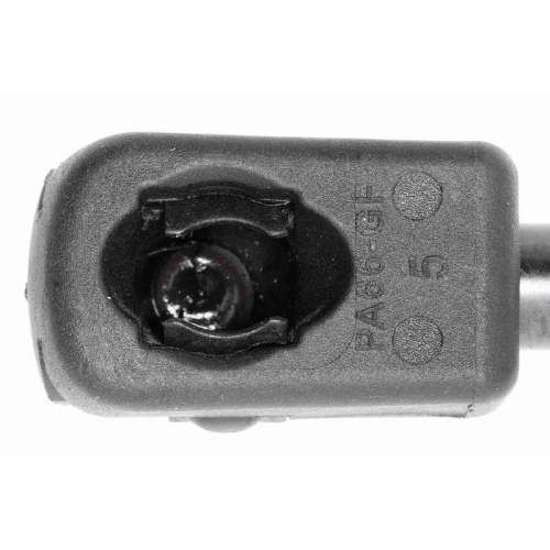VAICO Gasfeder, Motorhaube Original VAICO Qualit&auml;t V20-0981