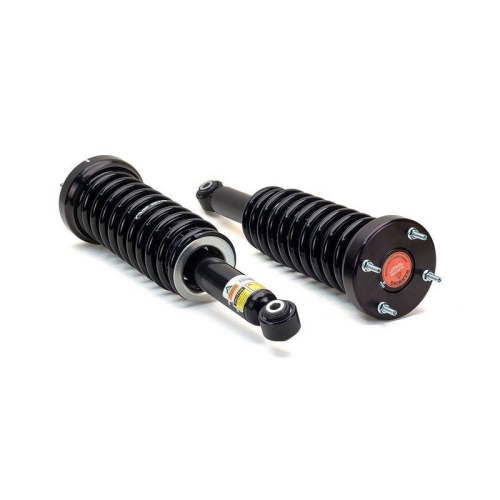 Arnott Fahrwerkssatz, Federn/D&auml;mpfer Original Arnott Produkt C-2745