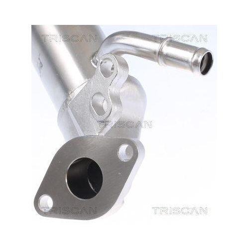 TRISCAN K&uuml;hler, Abgasr&uuml;ckf&uuml;hrung