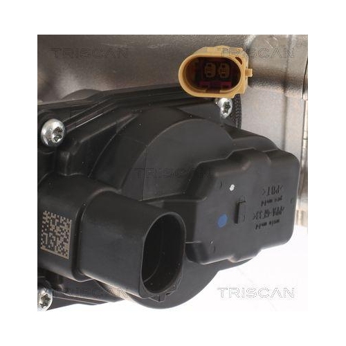 TRISCAN AGR-Ventil 8813 29013