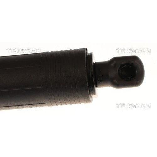 TRISCAN Gasfeder, Koffer-/Laderaum 8710 11371