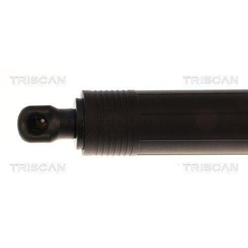 TRISCAN Gasfeder, Koffer-/Laderaum 8710 11372