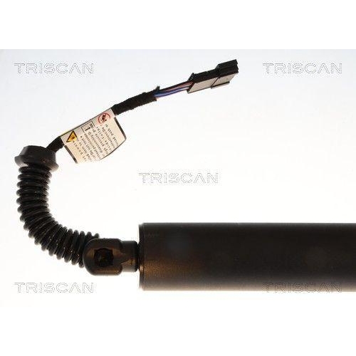 TRISCAN Gasfeder, Koffer-/Laderaum 8710 11373