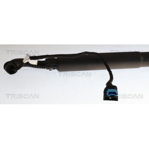 TRISCAN Gasfeder, Koffer-/Laderaum 8710 11374