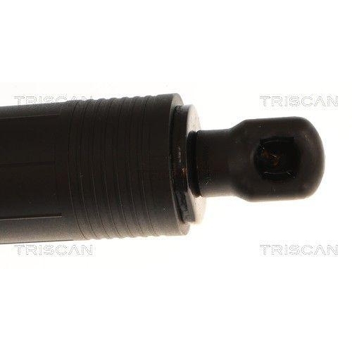 TRISCAN Gasfeder, Koffer-/Laderaum 8710 23319