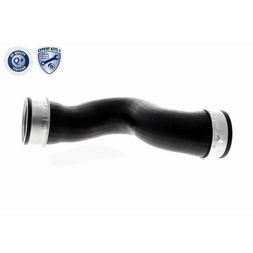VAICO Ladeluftschlauch EXPERT KITS +