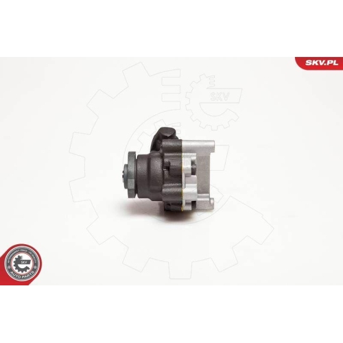 ESEN SKV Hydraulikpumpe, Lenkung