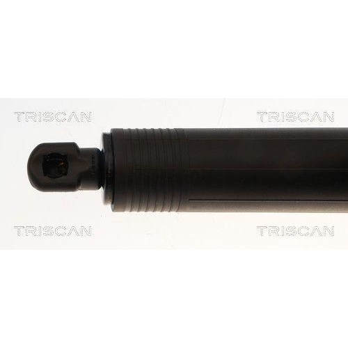 TRISCAN Gasfeder, Koffer-/Laderaum 8710 29353
