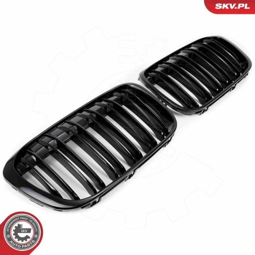 ESEN SKV Kühlergitter