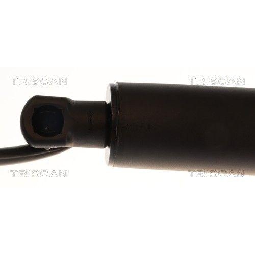 TRISCAN Gasfeder, Koffer-/Laderaum 8710 11376
