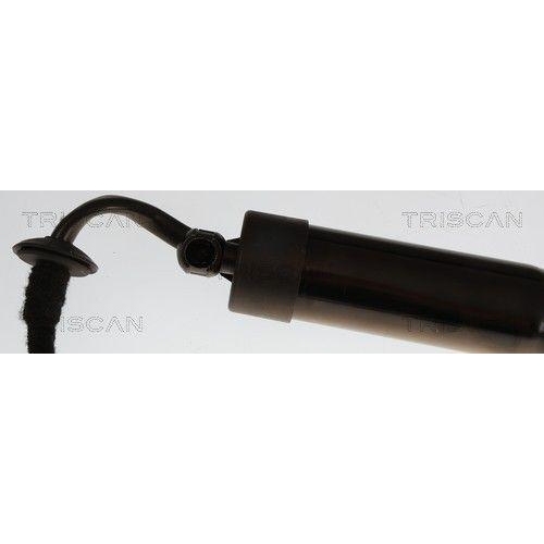 TRISCAN Gasfeder, Koffer-/Laderaum 8710 38301