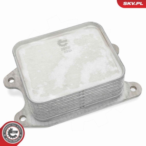 ESEN SKV &Ouml;lk&uuml;hler, Motor&ouml;l 31SKV287