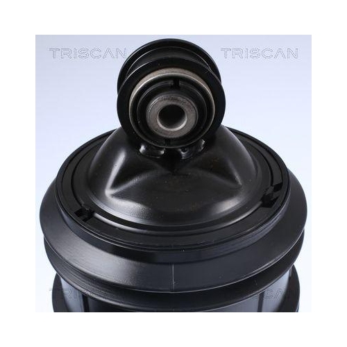 TRISCAN Luftfeder, Fahrwerk