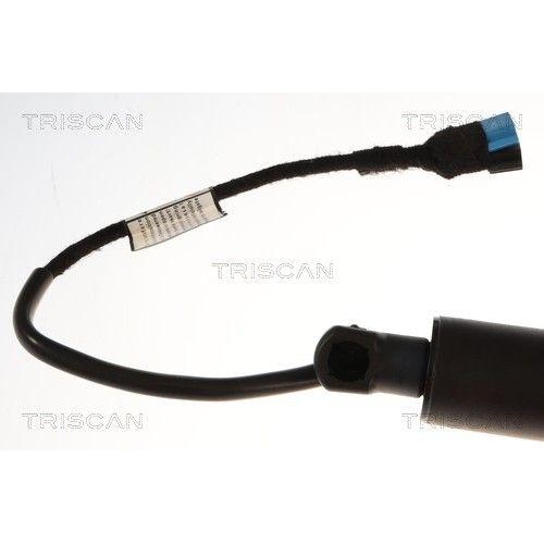 TRISCAN Gasfeder, Koffer-/Laderaum 8710 11377