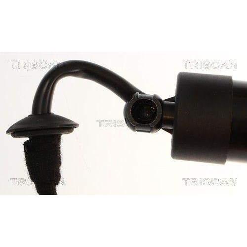 TRISCAN Gasfeder, Koffer-/Laderaum 8710 38302