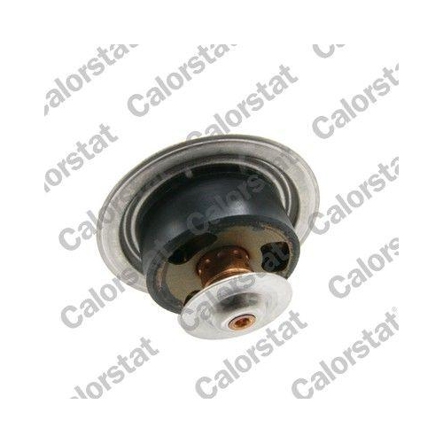 CALORSTAT by Vernet Thermostat, K&uuml;hlmittel TBS1001.82
