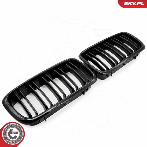 ESEN SKV Kühlergitter