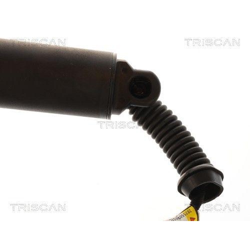 TRISCAN Gasfeder, Koffer-/Laderaum 8710 11379