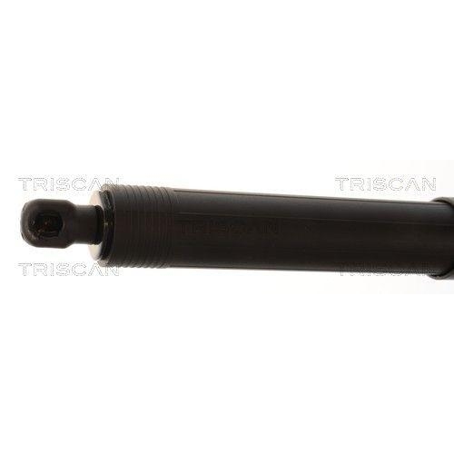 TRISCAN Gasfeder, Koffer-/Laderaum 8710 11380