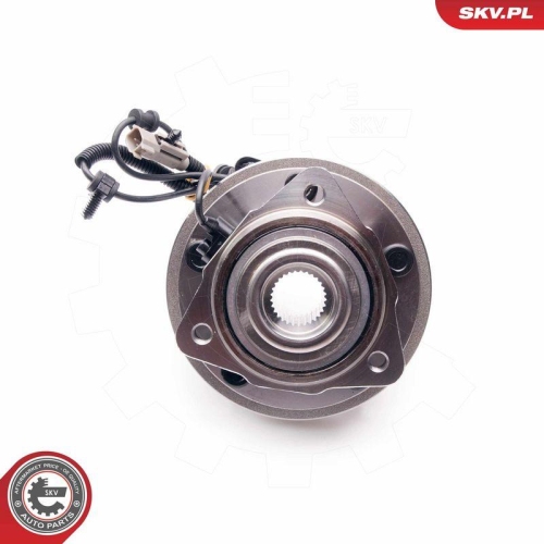 ESEN SKV Radlagersatz 29SKV132