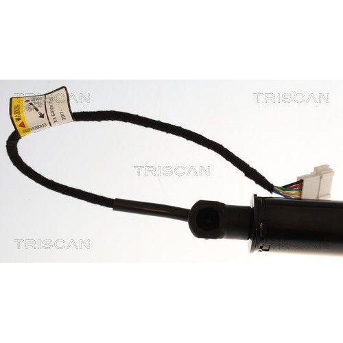 TRISCAN Gasfeder, Koffer-/Laderaum 8710 11381