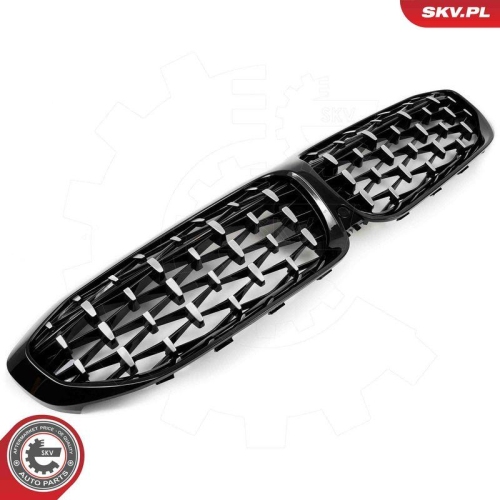 ESEN SKV Kühlergitter