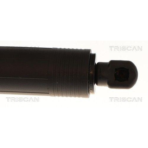 TRISCAN Gasfeder, Koffer-/Laderaum 8710 11382