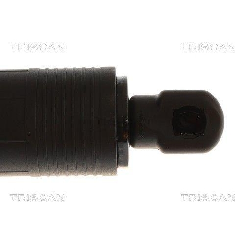 TRISCAN Gasfeder, Koffer-/Laderaum 8710 11383