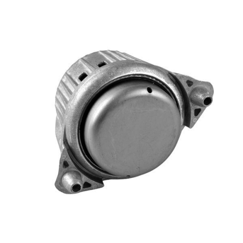 TEDGUM Lagerung, Motor TED53841