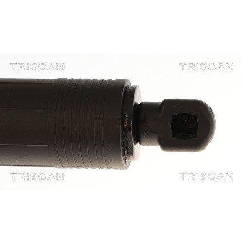 TRISCAN Gasfeder, Koffer-/Laderaum 8710 11384