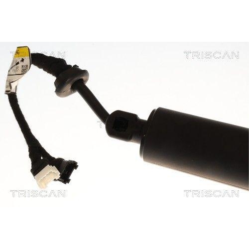 TRISCAN Gasfeder, Koffer-/Laderaum 8710 11385