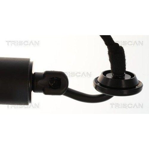TRISCAN Gasfeder, Koffer-/Laderaum 8710 14301