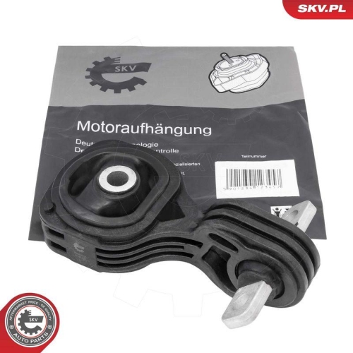 ESEN SKV Lagerung, Motor 75SKV314