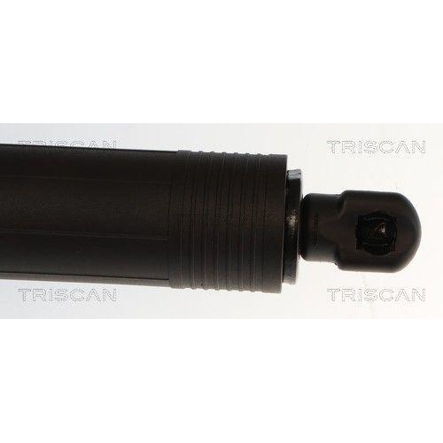 TRISCAN Gasfeder, Koffer-/Laderaum 8710 14302