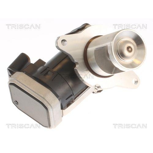 TRISCAN AGR-Ventil 8813 23036