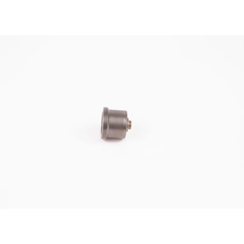 BOSCH Ventil 2 418 552 183