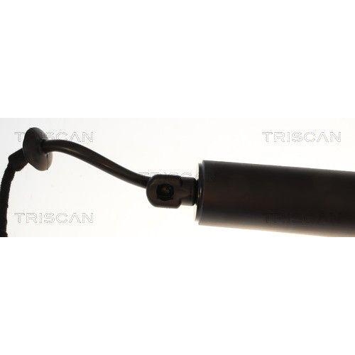 TRISCAN Gasfeder, Koffer-/Laderaum 8710 14304