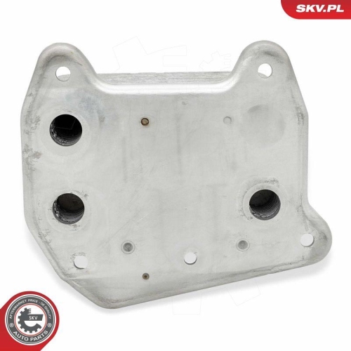 ESEN SKV &Ouml;lk&uuml;hler, Motor&ouml;l 31SKV297