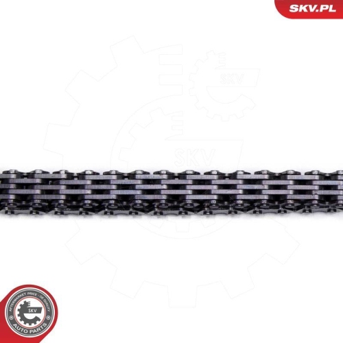 ESEN SKV Steuerkettensatz