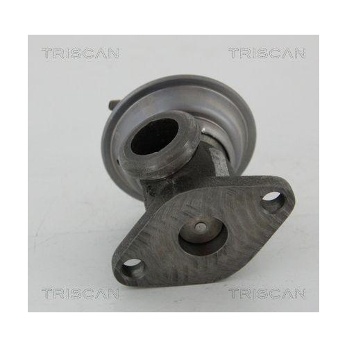 TRISCAN AGR-Ventil 8813 29011