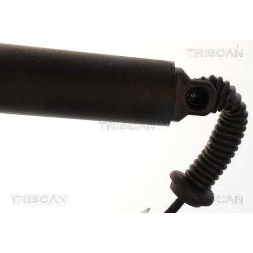 TRISCAN Gasfeder, Koffer-/Laderaum 8710 16318