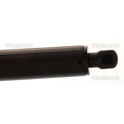 TRISCAN Gasfeder, Koffer-/Laderaum 8710 232101