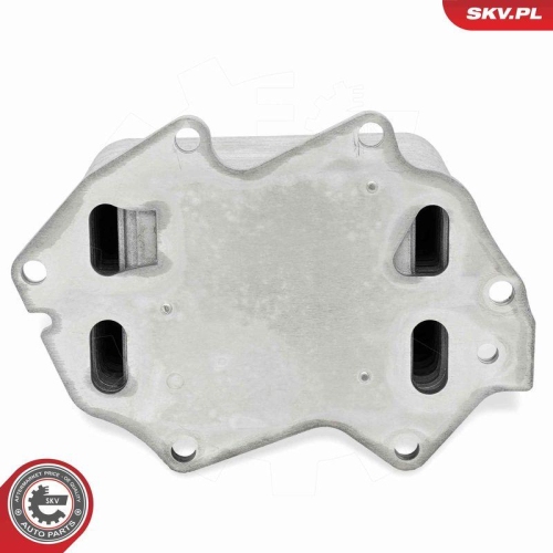 ESEN SKV Ölkühler, Motoröl