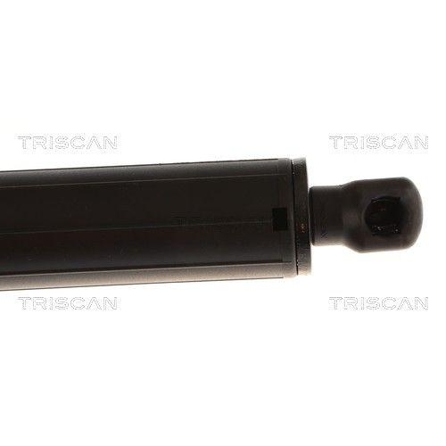 TRISCAN Gasfeder, Koffer-/Laderaum 8710 232104
