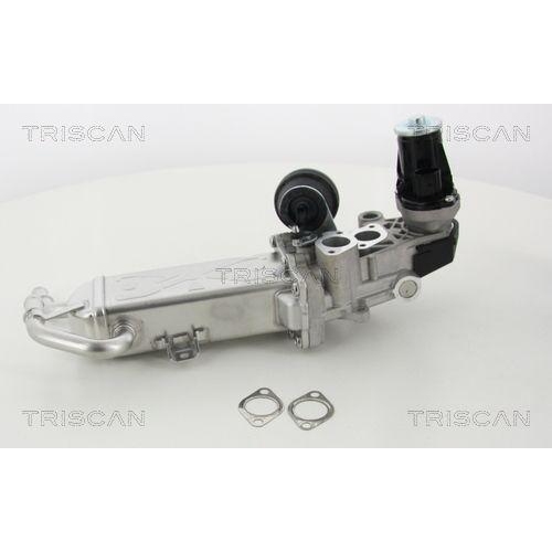 TRISCAN AGR-Ventil 8813 29330
