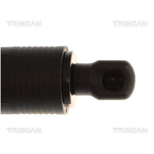 TRISCAN Gasfeder, Koffer-/Laderaum 8710 23315