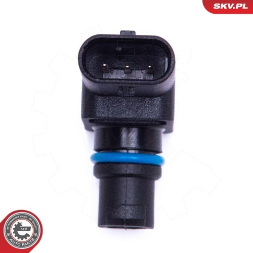 ESEN SKV Sensor, Saugrohrdruck