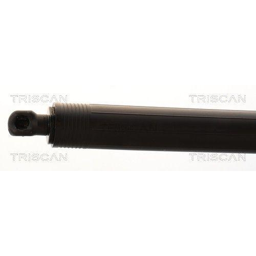 TRISCAN Gasfeder, Koffer-/Laderaum 8710 23317