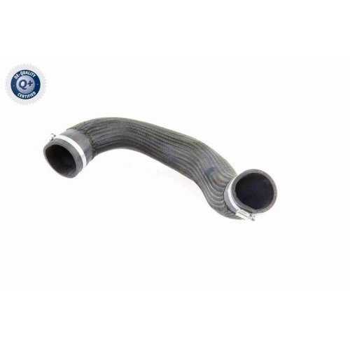 VAICO Ladeluftschlauch Q+, Erstausrüsterqualität V10-3834